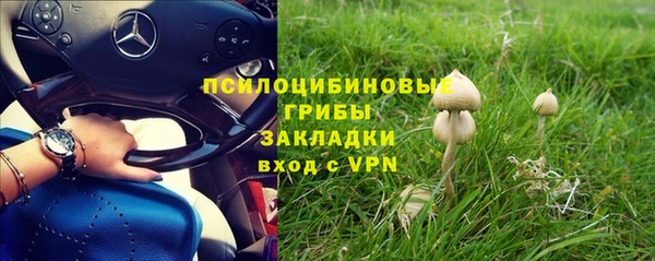 каннабис Абаза