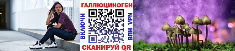 Галлюциногенные грибы мицелий  Алагир 